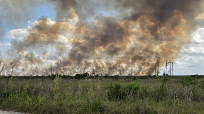 A wildfire has scorched nearly 5,000 acres in Florida's Everglades, just outside the Miami metro suburbs, prompting officials to warn nearby residents of dangerous smoke.