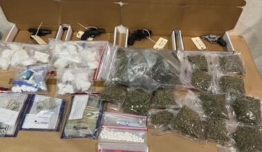 2 gang members arrested in Hillsborough County drug bust operation