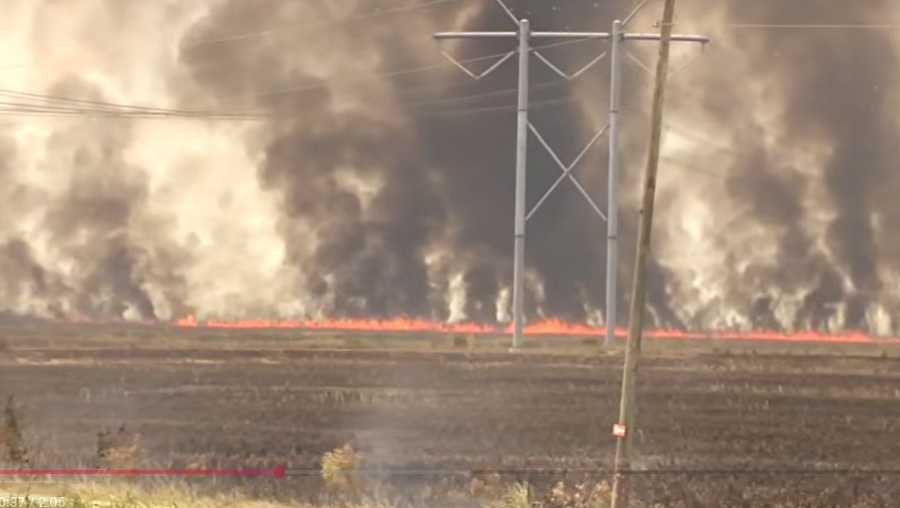 Wildfires burning along Everglades in Browad, Miami-Dade, Monroe counties