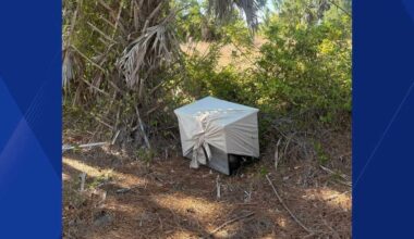 Dog found dead inside crate on side of road in Cape Coral prompts investigation