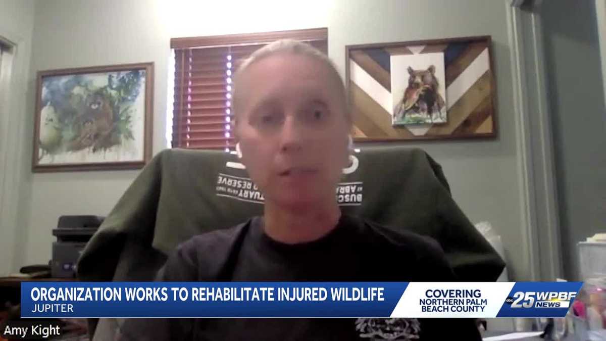 Local Organization Helps Thousands of Florida's Animals Each Year