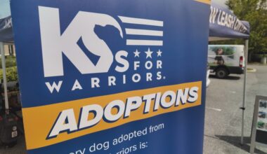 Dozens of dogs look for forever homes at adoption event in Bartram Park