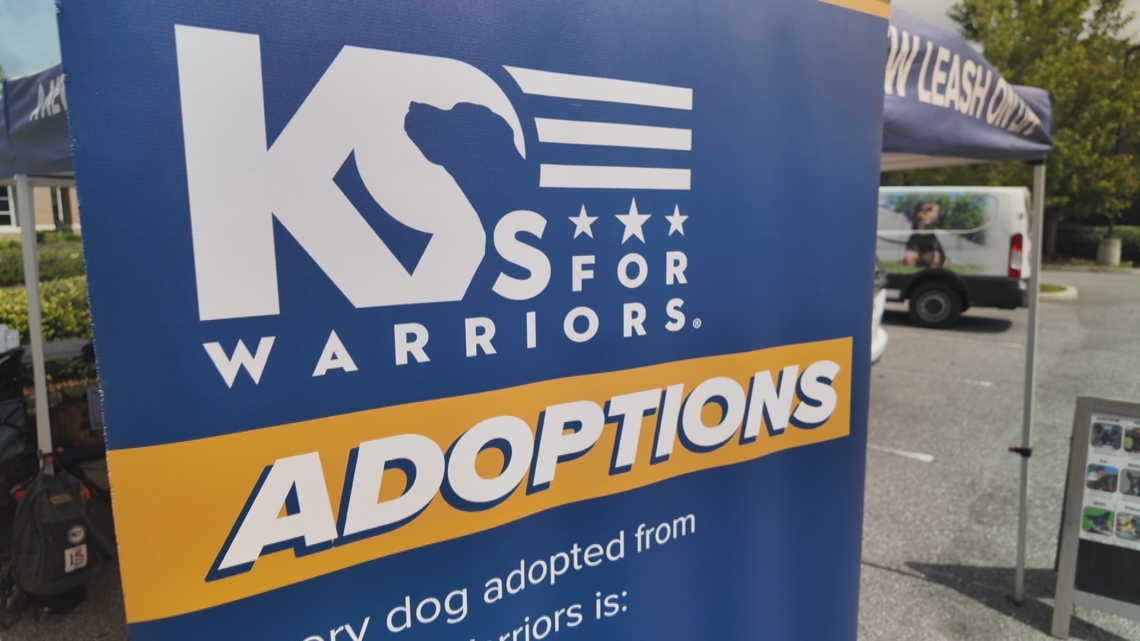 Dozens of dogs look for forever homes at adoption event in Bartram Park