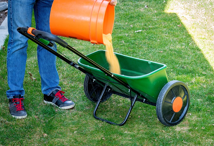 Residents are reminded of fertilizer restrictions in Winter Garden