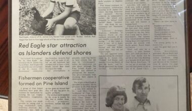 article image -