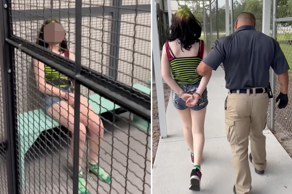 Florida 12-year-old accused of threatening teacher, saying she will 'shoot up' school