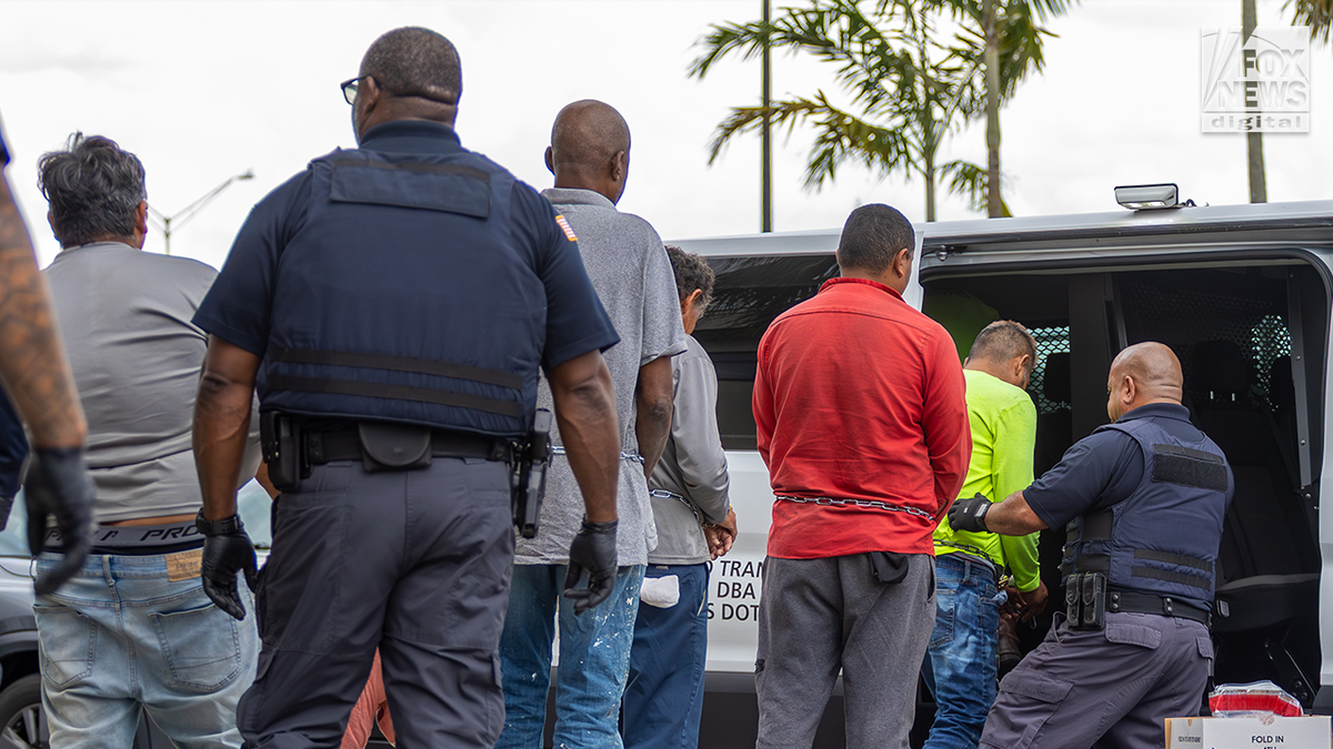 Law enforcement officers escort several detained individuals toward a transport van during an enforcement operation.