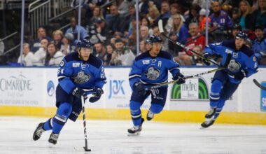 Minnesota Wild add ECHL's Jacksonville Icemen as developmental affiliate