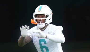 Miami Dolphins News - What can we expect from the Dolphins receivers