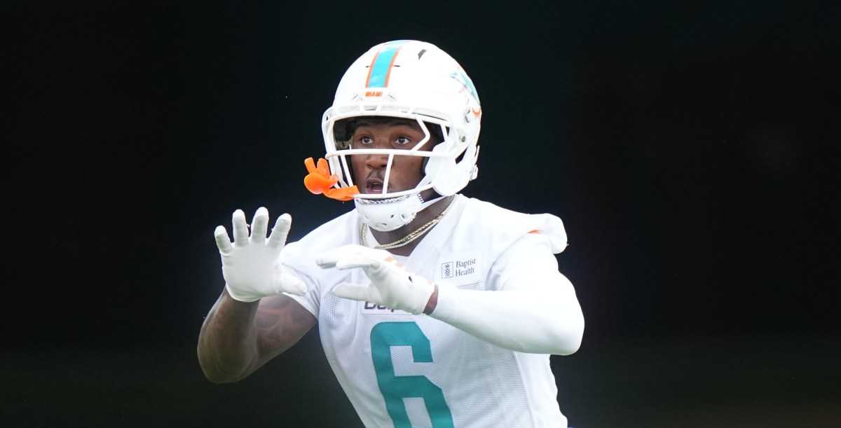 Miami Dolphins News - What can we expect from the Dolphins receivers