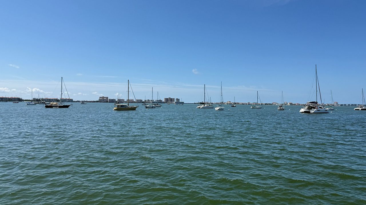 Gulfport's current municipal mooring field has 25 rental spots and a proposal would add 75 additional mooring balls. The first phase of the project was approved by city council (Spectrum Bay News 9/Tyler O'Neill)