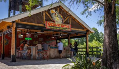 Guzzlin Gator Craft Bar Wide