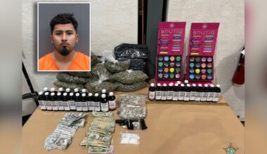 Convicted felon, known gang member arrested for drug trafficking: HCSO