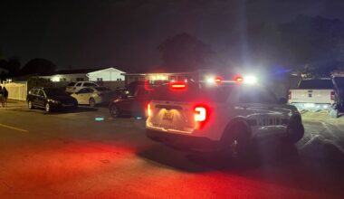 Son arrested after mother attacked by dog in Hialeah, police say – NBC 6 South Florida