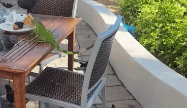 Yahoo news home