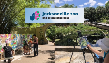 Jacksonville Zoo and Botanical Gardens to host Art in the Garden Festival Mother’s Day weekend