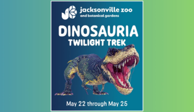 Dinosauria: Twilight Trek at Jacksonville Zoo and Botanical Gardens
