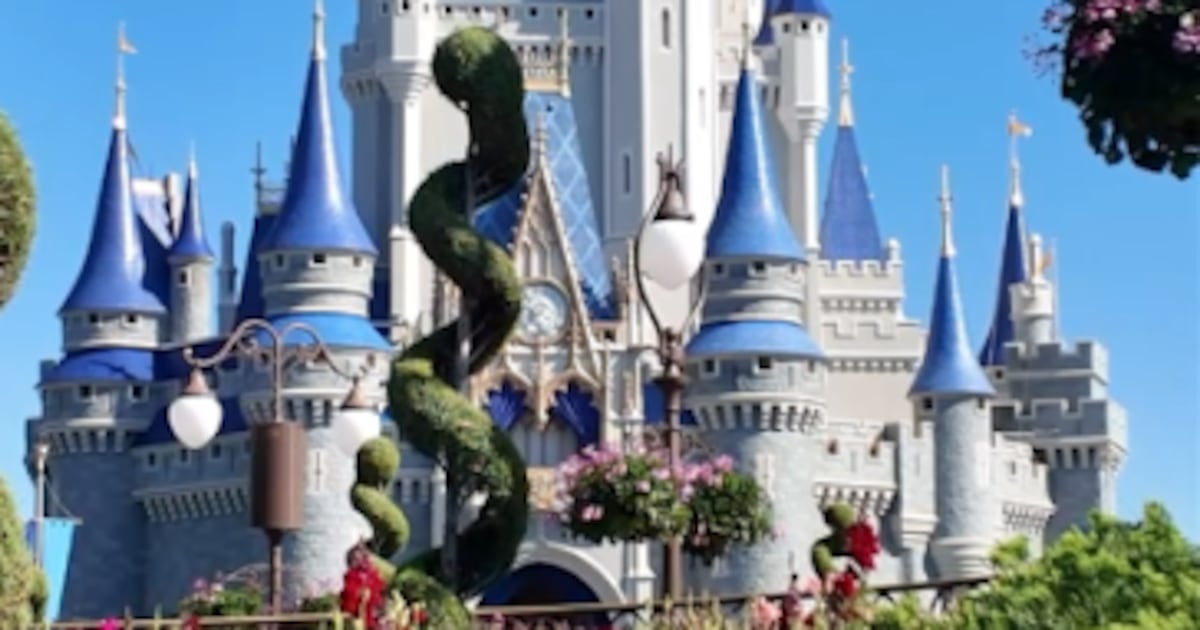Six Florida parks make top 10 in US amusement park study