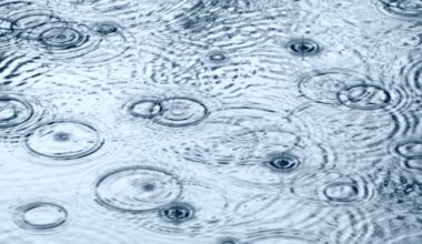 May rainfall totals aross the Miami Valley – WHIO TV 7 and WHIO Radio