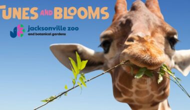 Enjoy live music and themed nights at Jacksonville Zoo’s Tunes and Blooms – Action News Jax