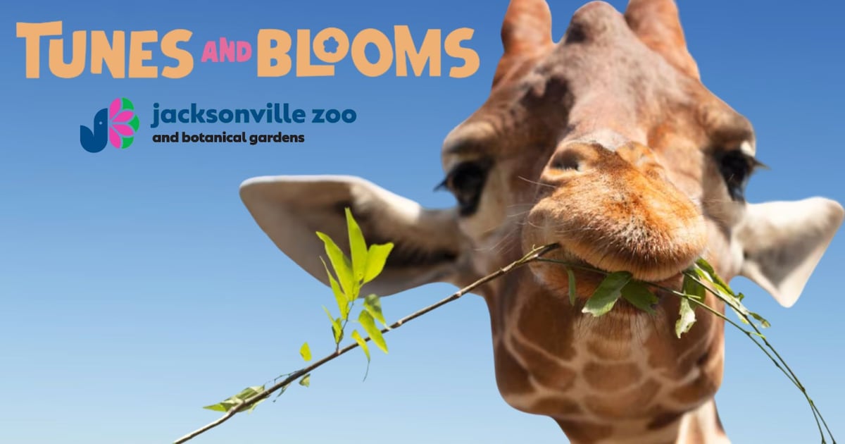 Enjoy live music and themed nights at Jacksonville Zoo’s Tunes and Blooms – Action News Jax