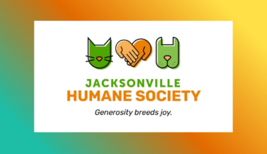 Jacksonville Humane Society offers $20 adoption fees Memorial Day weekend