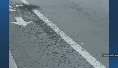 Central Florida drivers hit with screw road hazard