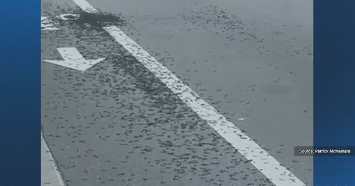 Central Florida drivers hit with screw road hazard
