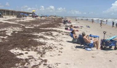 Worst sargassum in years hits Central Florida beaches