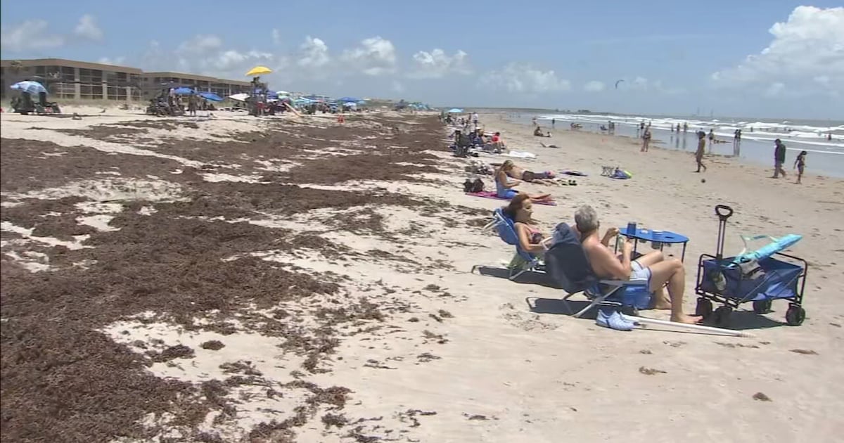 Worst sargassum in years hits Central Florida beaches