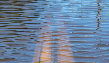 Flooding causing road closures across Miami Valley – WHIO TV 7 and WHIO Radio