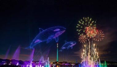SeaWorld Orlando unveils Electric Ocean summer lineup