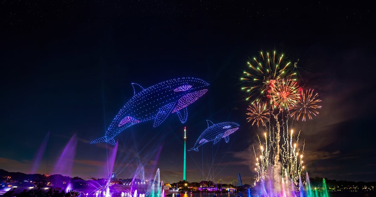 SeaWorld Orlando unveils Electric Ocean summer lineup