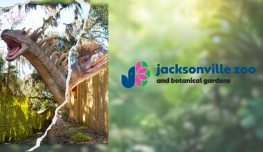 Dinosaurs After Dark? Jacksonville Zoo Launches “Twilight Trek”🦖 – 104.5 WOKV