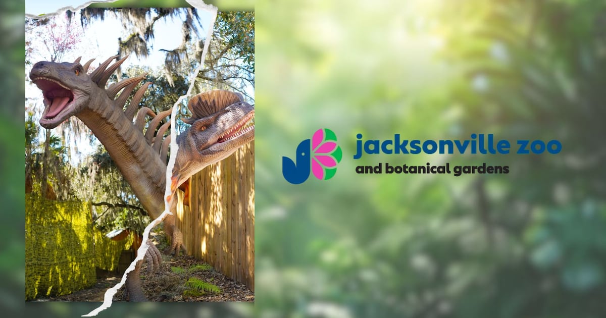 Dinosaurs After Dark? Jacksonville Zoo Launches “Twilight Trek”🦖 – 104.5 WOKV