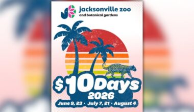 Save money this summer with Jacksonville Zoo’s $10 Days – Action News Jax