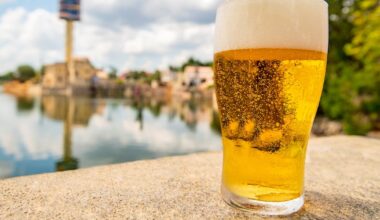 SeaWorld Orlando Bringing Back Free Beer for Summer 2026