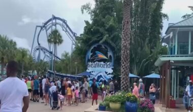 SeaWorld Orlando's Free Beer Offer Returns This Summer