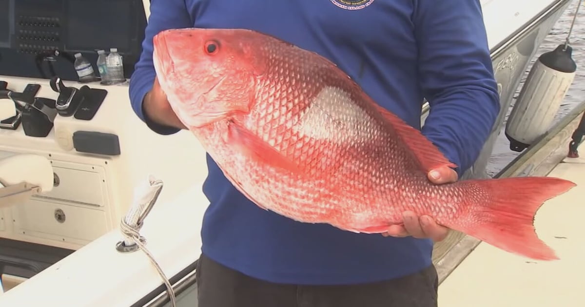 Judge halts Florida's expanded red snapper fishing