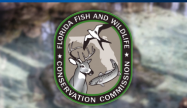 Florida launches Statewide Alligator Harvest and Super Hunt