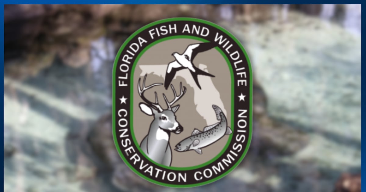 Florida launches Statewide Alligator Harvest and Super Hunt