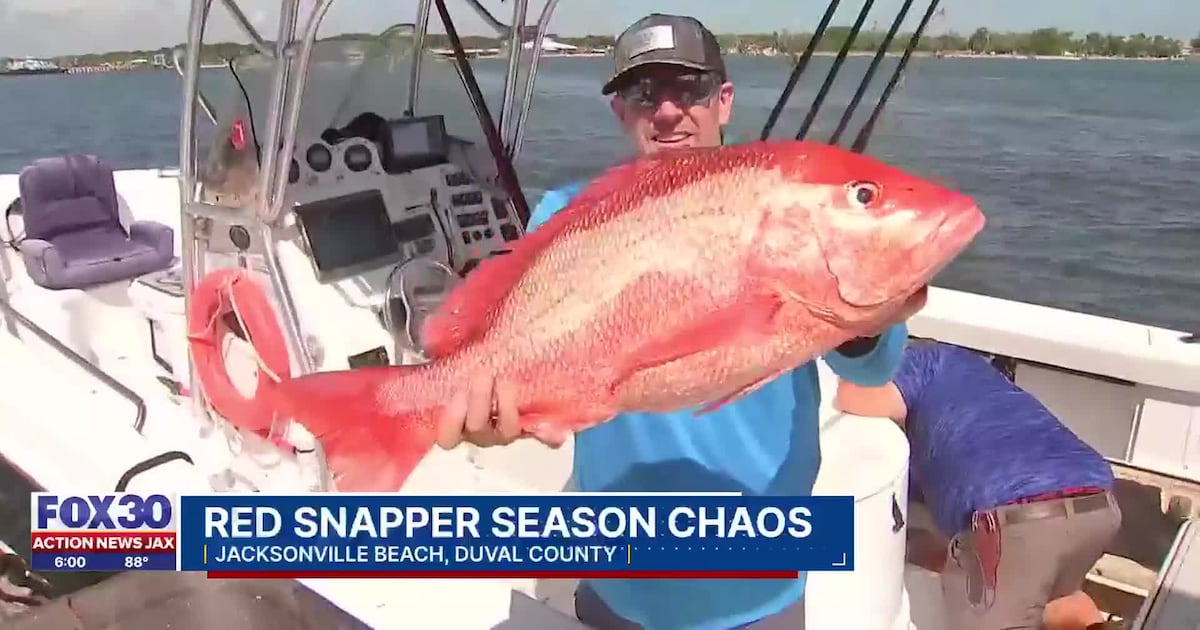Governor responds after federal judge throws wrench in Florida’s planned 39-day red snapper season – Action News Jax