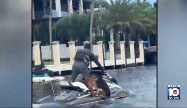 Jet ski worker rescues dog struggling in Fort Lauderdale water