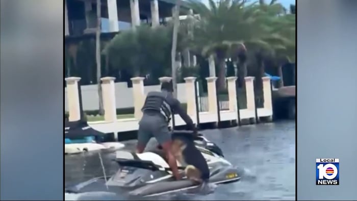 Jet ski worker rescues dog struggling in Fort Lauderdale water