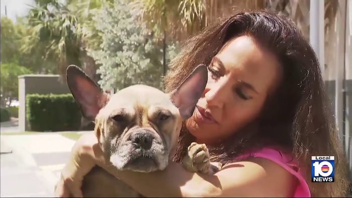Malnourished dog abandoned in Fort Lauderdale making ‘miracle’ recovery