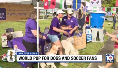 Dog lovers, soccer fans unite at ‘World Pup’ event at Haulover Park