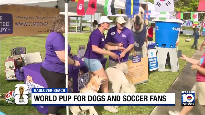 Dog lovers, soccer fans unite at ‘World Pup’ event at Haulover Park
