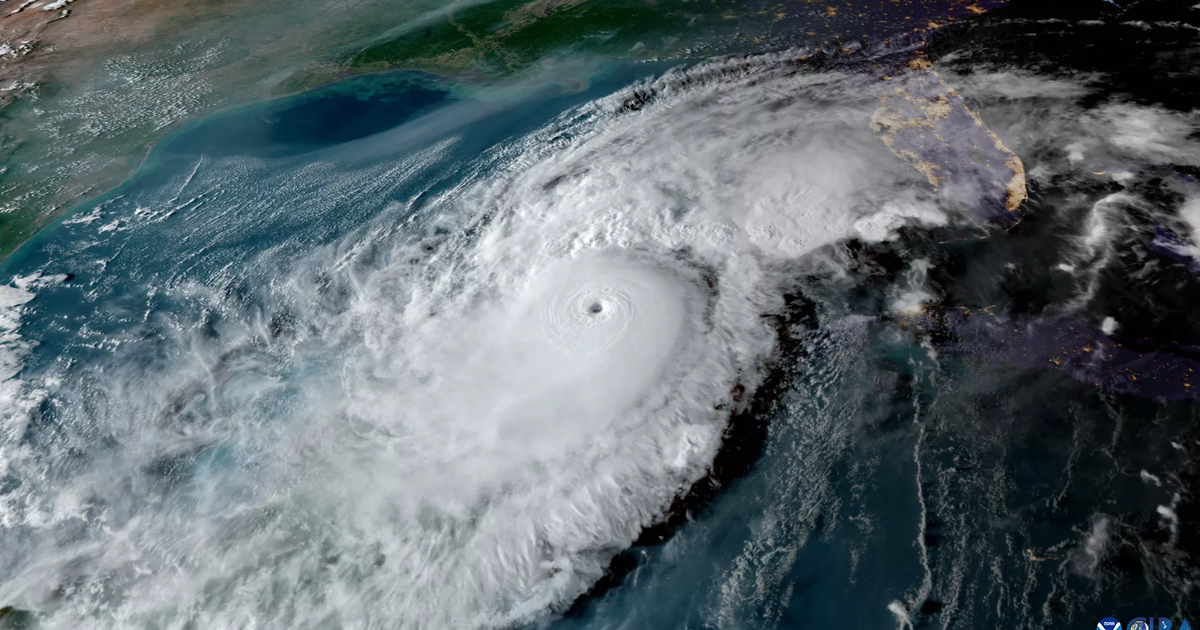 Florida hurricane season: Every item you need in your emergency kit