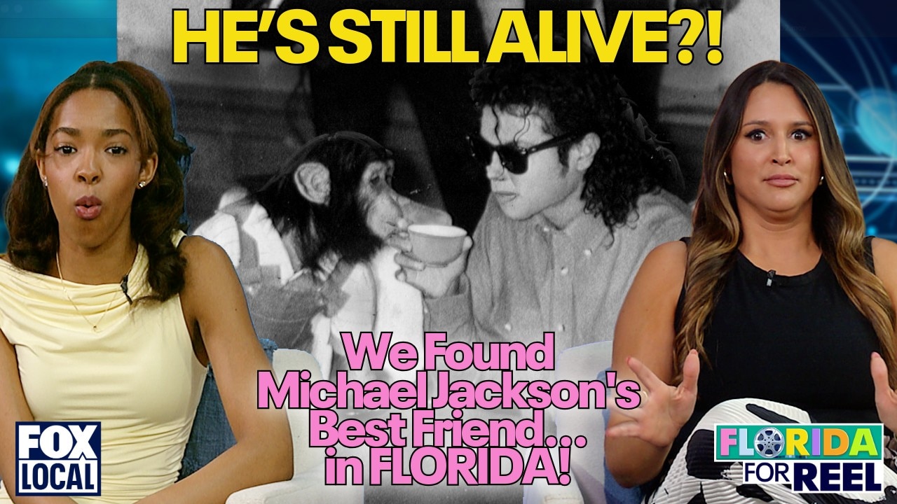 Michael Jackson’s chimp Bubbles | Florida For Reel