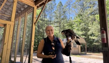 Blake Dowling: The Falcons Crest — a story of falconry